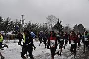 _DSC2558