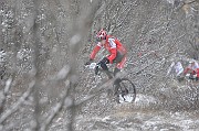 _DSC2590