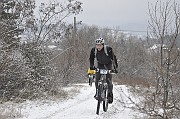 _DSC2637
