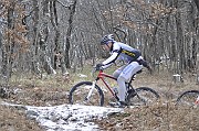 _DSC2717