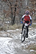 _DSC2735