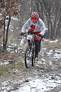 _DSC2737