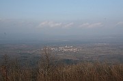 IMG_5007