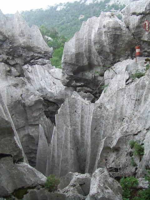 DSCF6059
