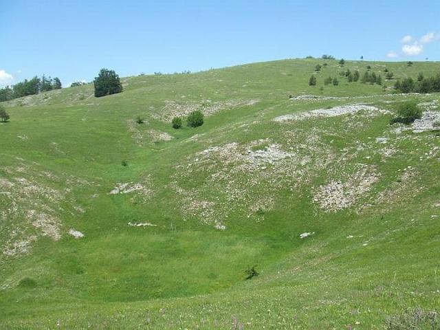DSCF6113