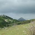DSCF6007