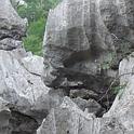 DSCF6059