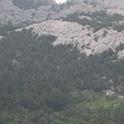 IMG_4090_4