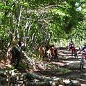IMG_4234_19-1