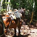 IMG_4237_20