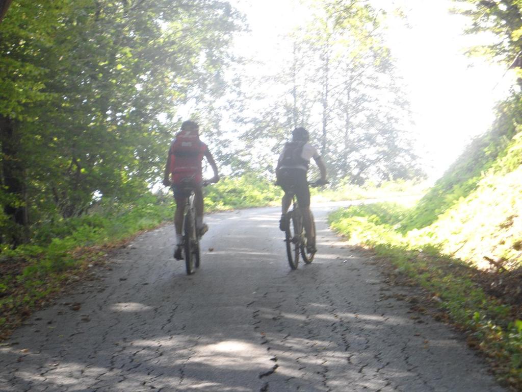 verso Volcanski Ruti, si esce dal bosco.jpg