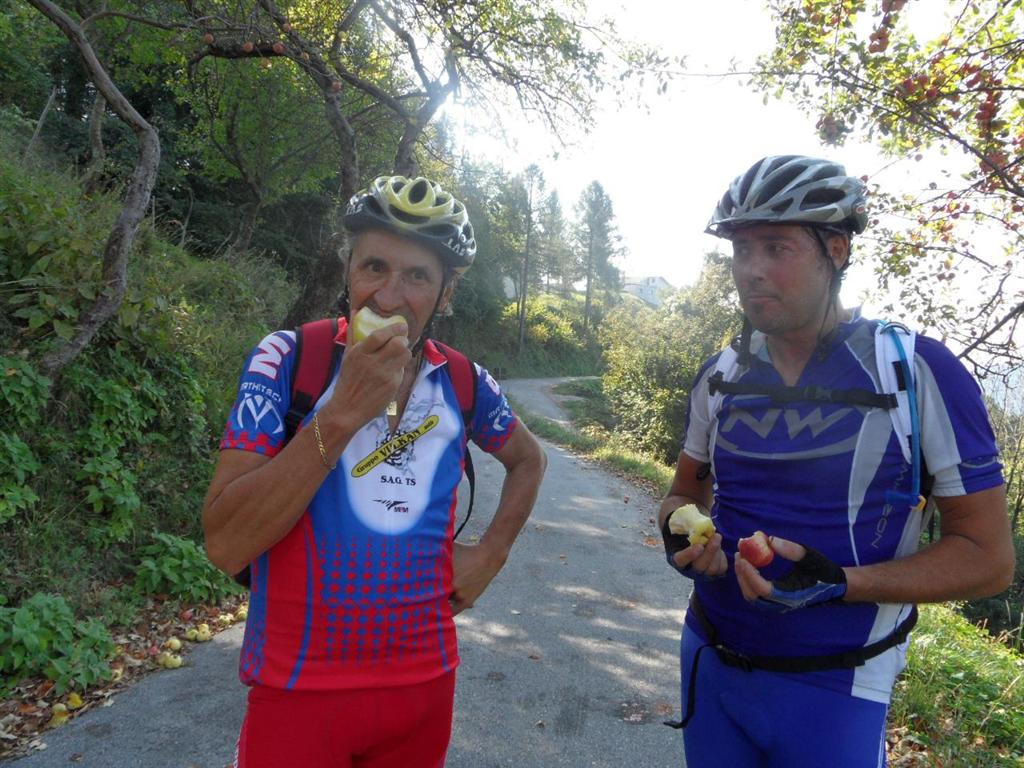 qui ci son tante mele sugli alberi e pure sul terreno che non vengono nemmeno raccolte...ci pensiamo noi, finalmente frutta a Km 0 e a Euro 0!!.jpg