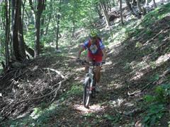 436_SAM_6054