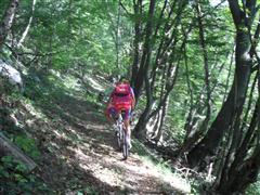 437_SAM_6055