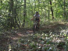 440_SAM_6058