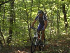 441_SAM_6059