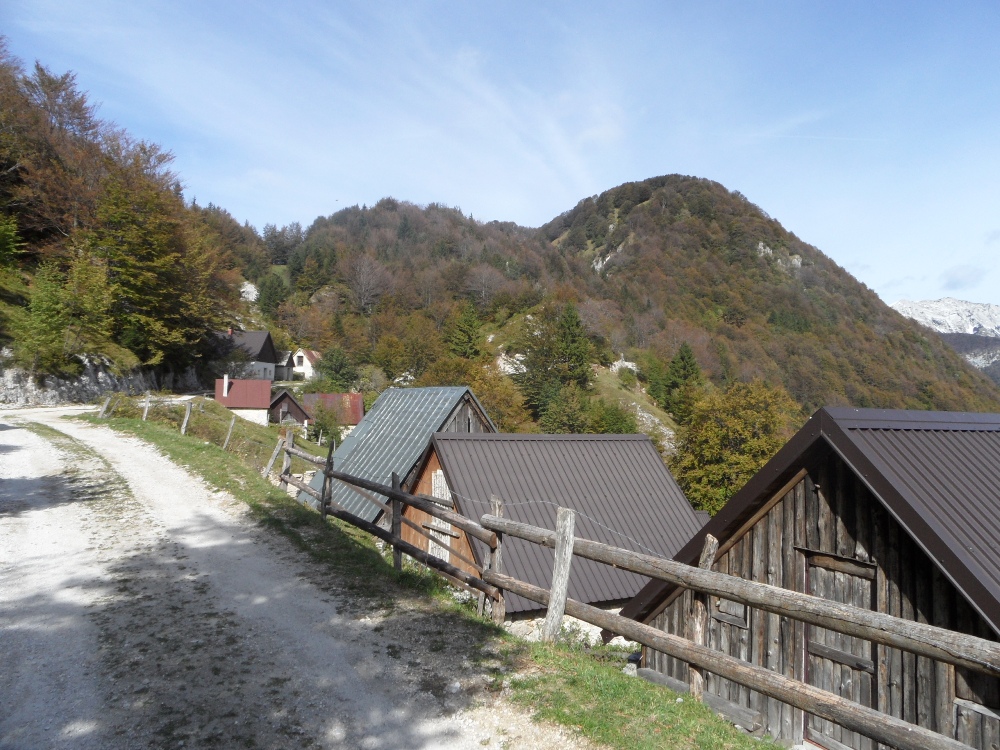 Planina Lom .jpg