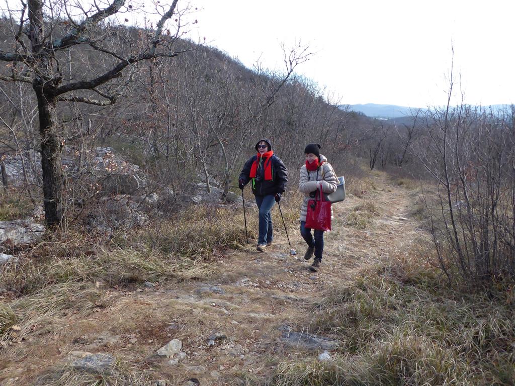 Foto LGF_2016_VOIVODA_245.JPG..jpg