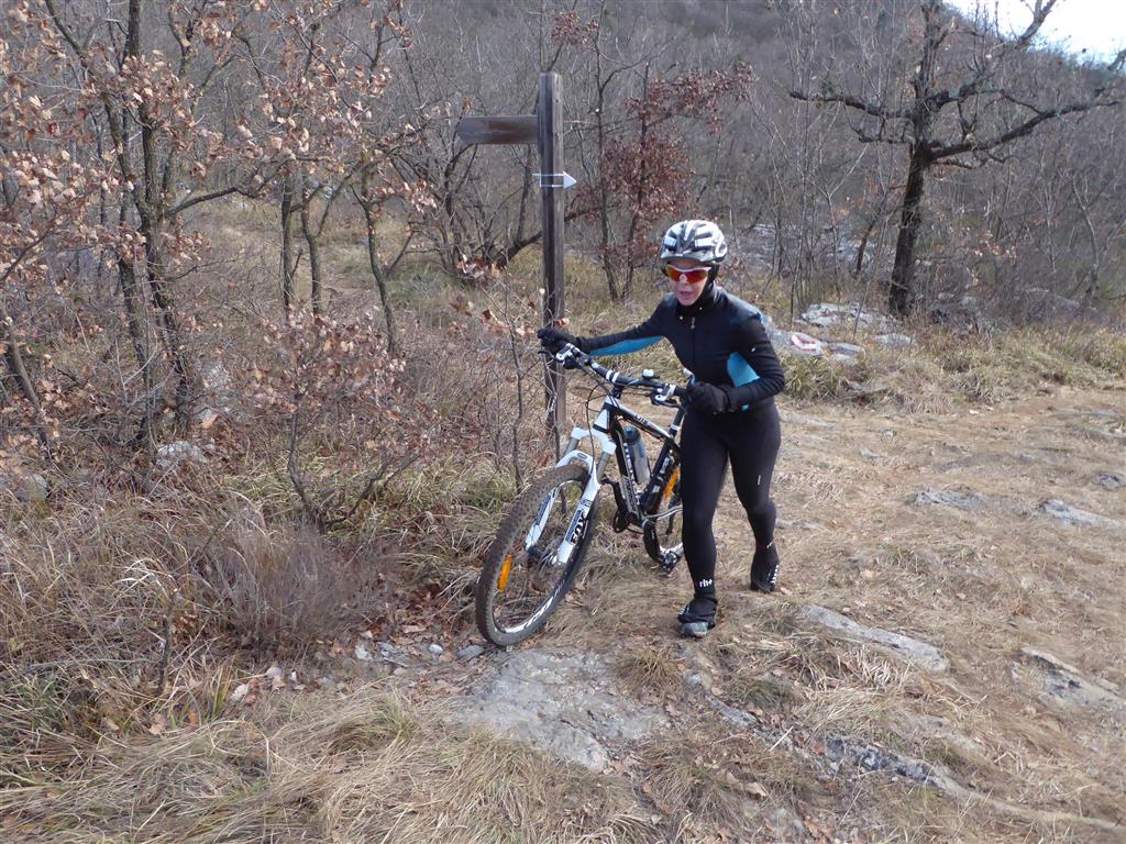 Foto LGF_2016_VOIVODA_262.JPG..jpg