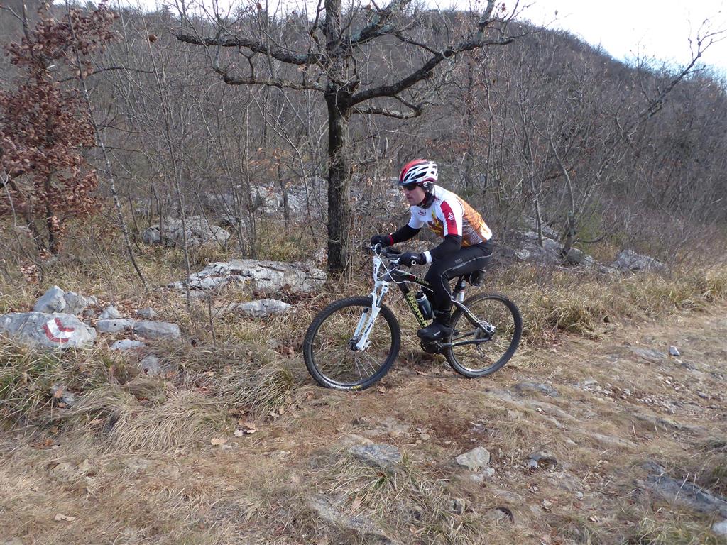 Foto LGF_2016_VOIVODA_270.JPG..jpg