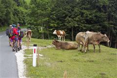 10581_DSC05198_2906H