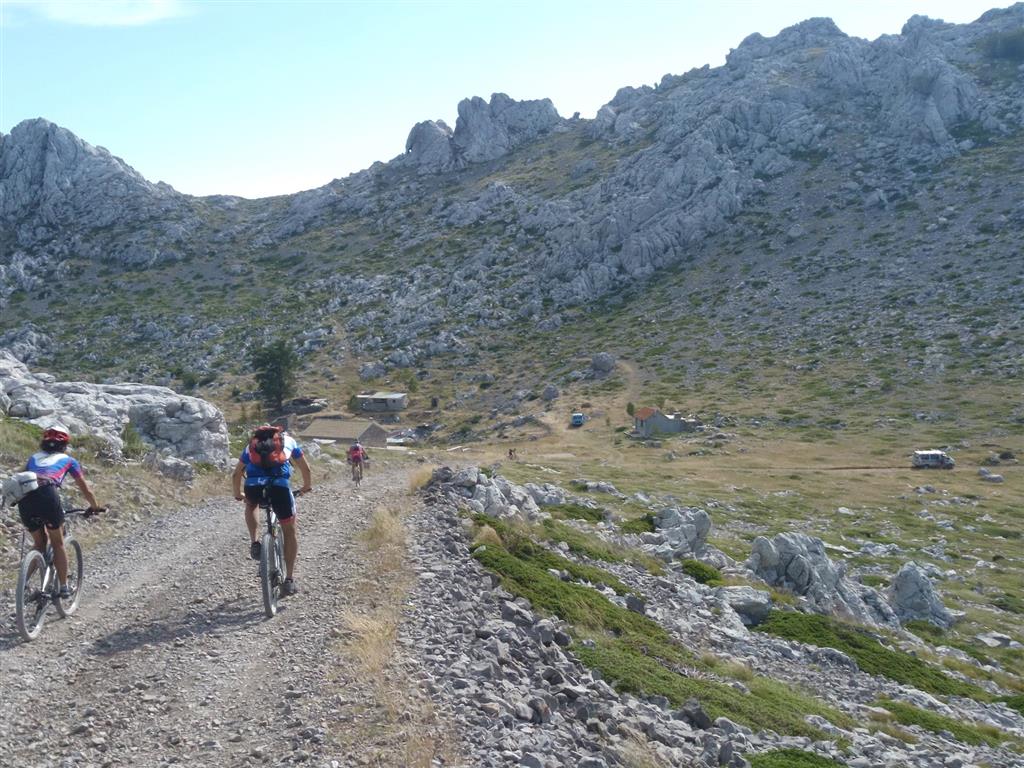 Utilizzando la strada 